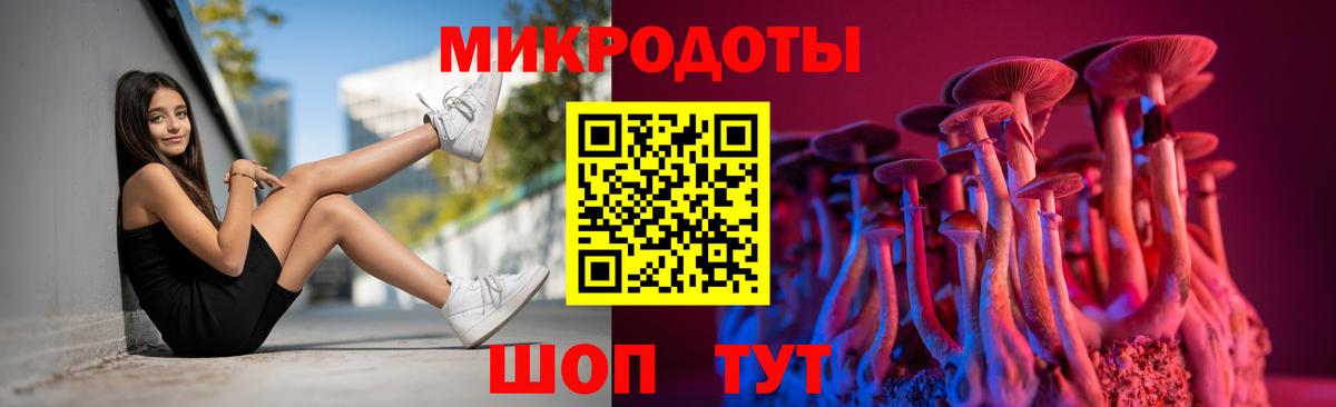 Новотроицк  Псилоцибиновые грибы мухоморы  Вход с VPN 